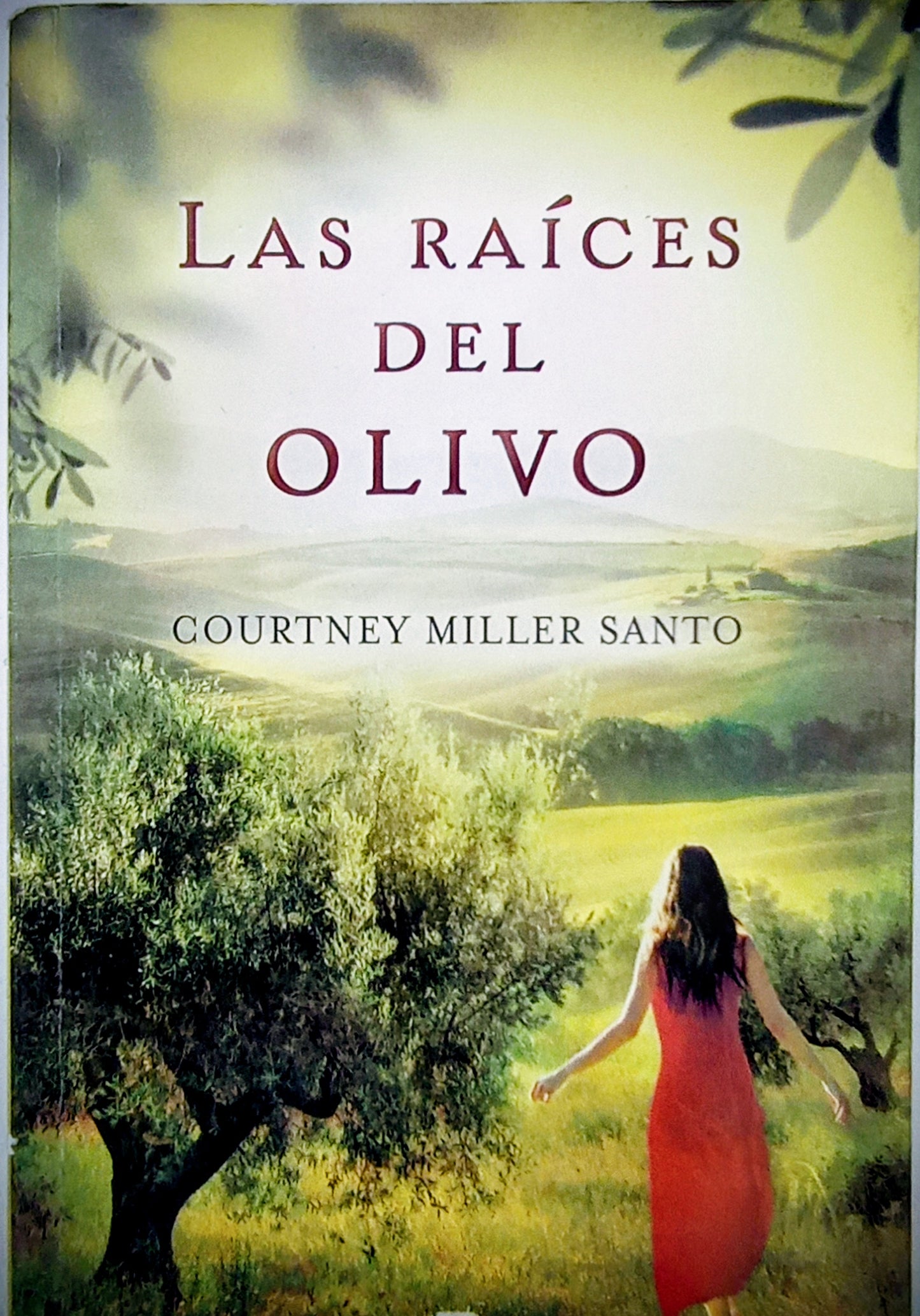 Las raíces del olivo